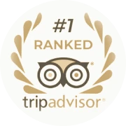 Altezza Travel – laureat nagrody Tripadvisor Travellers' Choice 2026