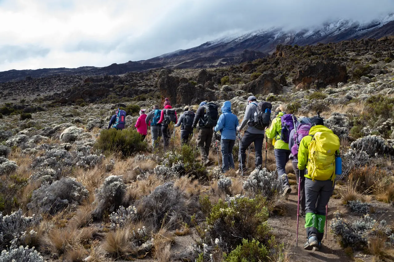 Grupa na trasie Northern Circuit. Wyprawa Altezza Travel