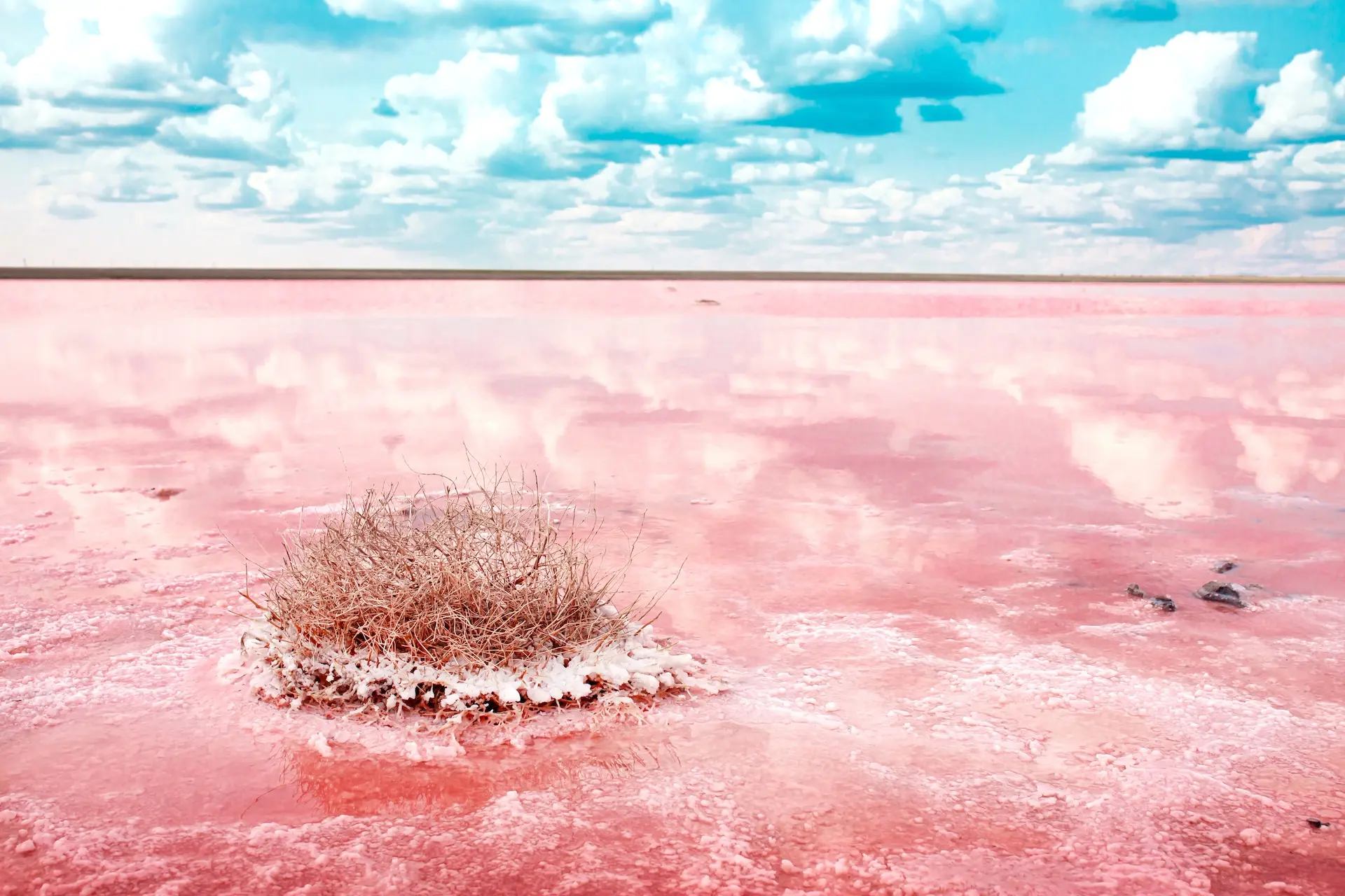 W porze suchej jezioro czerwienieje i pokrywa się solą. Zdjęcie: Vera Larina / Shutterstock