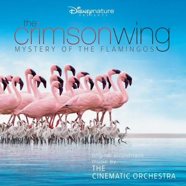 Okładka filmu dokumentalnego „The Crimson Wing: Mystery of the Flamingos”