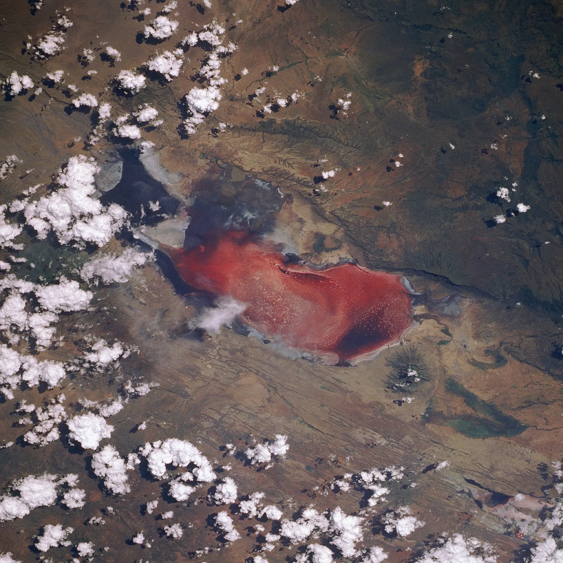 Jezioro Natron, nazywane czasem „śmiertelnie czerwonym jeziorem”, widziane z promu kosmicznego Discovery podczas misji STS-29. Zdjęcie: NASA