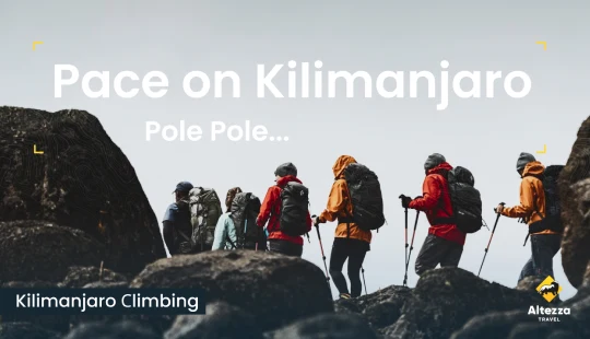 Właściwe tempo na Kilimandżaro | Altezza Travel
