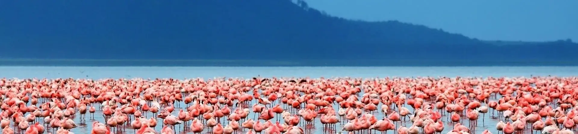 Jezioro Manyara