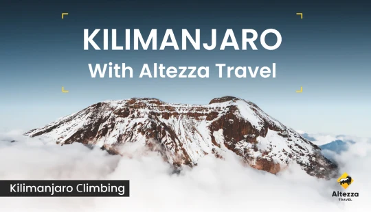 Wyprawa na Kilimandżaro: najważniejsze informacje | Altezza Travel