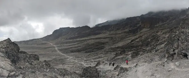 Trasa Machame – dzień 4 – Trekking z Shira Camp do Lava Tower i zejście do Barranco Camp