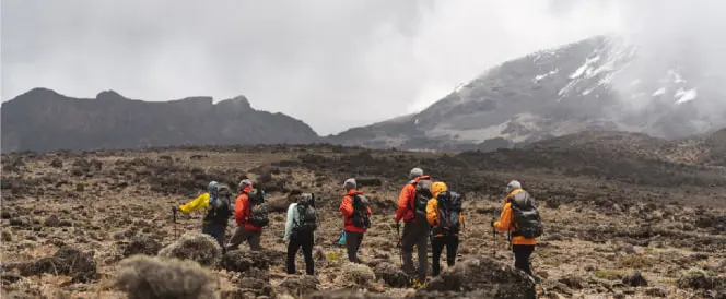 Trasa Northern Circuit – dzień 4 – Trekking z Shira 2 do Moir Hut przez Lava Tower