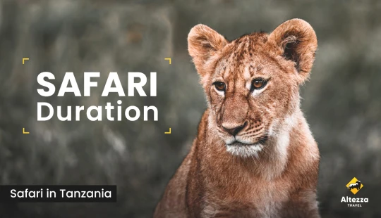 Planowanie safari: ile dni potrzeba?