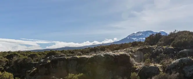Trasa Marangu – dzień 3 – Trekking z Mandara Hut do Horombo Hut