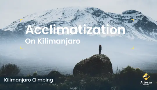 Aklimatyzacja na Kilimandżaro | Altezza Travel