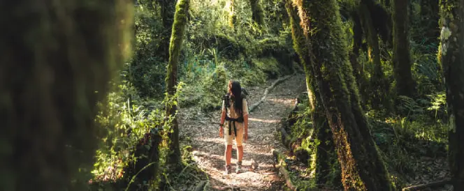 Trasa Umbwe – dzień 2 – Trekking od bramy Umbwe do Umbwe Camp