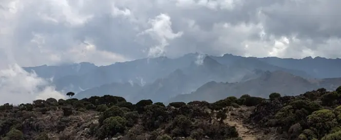 Trasa Umbwe – dzień 3 – Trekking z Umbwe Camp do Barranco Camp