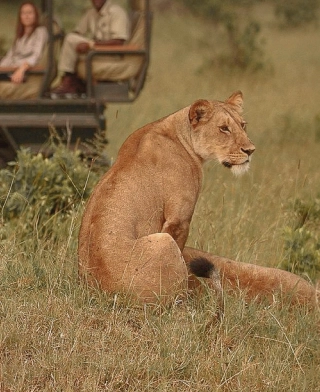 Park Narodowy Serengeti