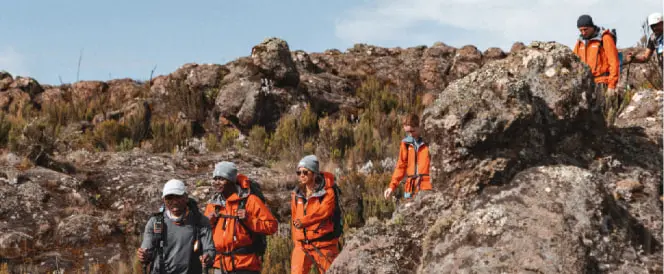 Trasa Machame – dzień 3 – Trekking z Machame Camp do Shira Camp